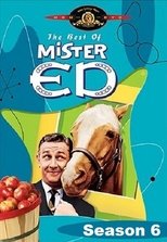 Temporada 6
