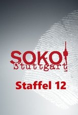 Temporada 12