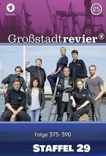 Temporada 29