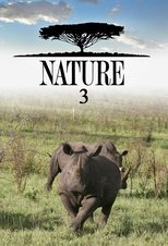 Temporada 3