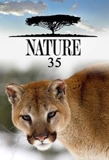 Temporada 35
