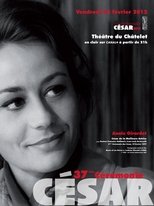 Temporada 37