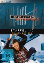 Temporada 10