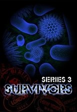 Temporada 3