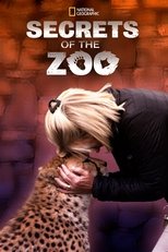 Temporada 5