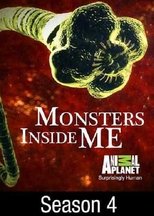 Temporada 4