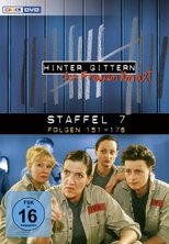 Temporada 7