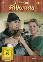 Temporada 15