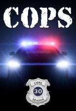 Temporada 30