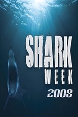 Temporada 21