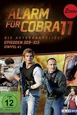 Temporada 41