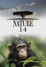 Temporada 14