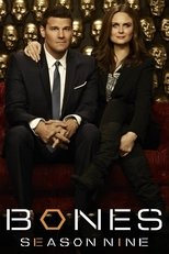 Temporada 9
