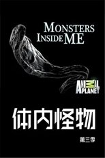 Temporada 3