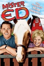 Temporada 3