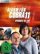 Temporada 28