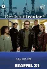 Temporada 31