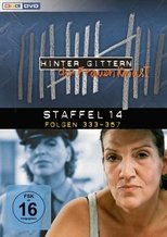 Temporada 14