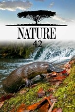 Temporada 42