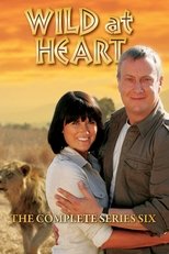 Temporada 6