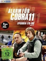 Temporada 24