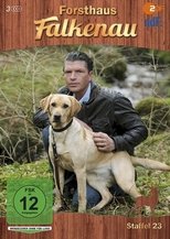 Temporada 23