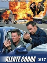 Temporada 17