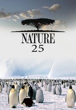 Temporada 25