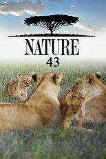 Temporada 43