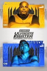 Temporada 33