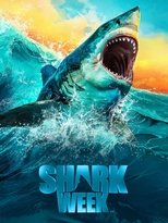 Temporada 37