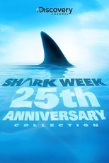 Temporada 25
