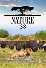Temporada 38
