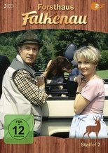 Temporada 7