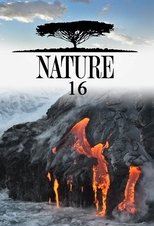 Temporada 16