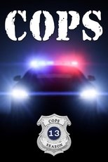 Temporada 13