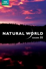 Temporada 35
