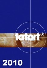 Temporada 41