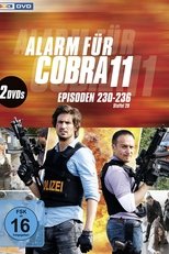 Temporada 31