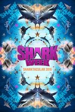 Temporada 29