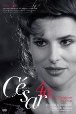 Temporada 40