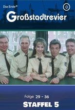 Temporada 5