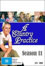 Temporada 11