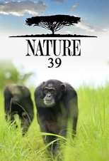 Temporada 39