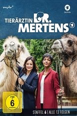 Temporada 6