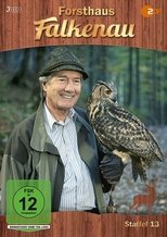 Temporada 13