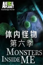Temporada 6