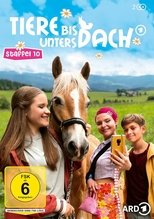 Temporada 10