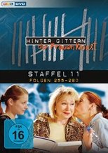 Temporada 11