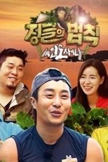 Temporada 17